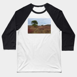 The Big Meadow Baseball T-Shirt